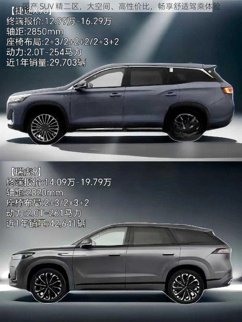 国产 SUV 精二区,大空间、高性价比,畅享舒适驾乘体验