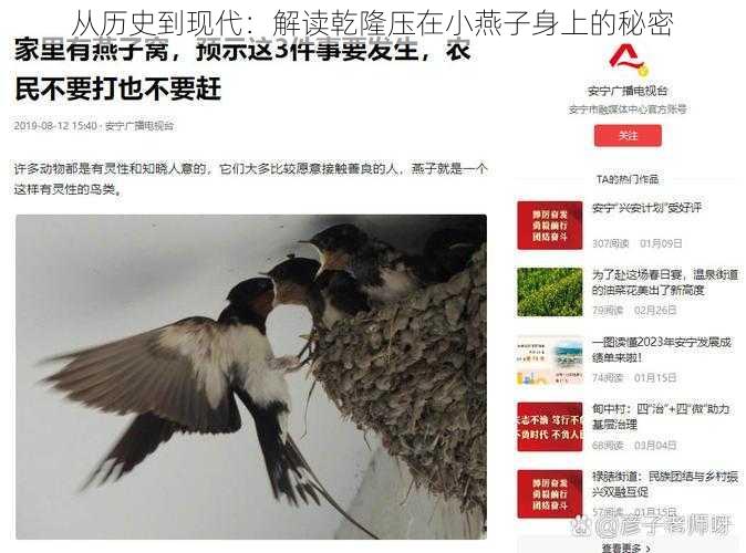 从历史到现代:解读乾隆压在小燕子身上的秘密